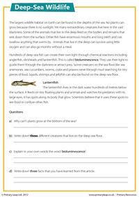 Reading comprehension - Deep-sea wildlife